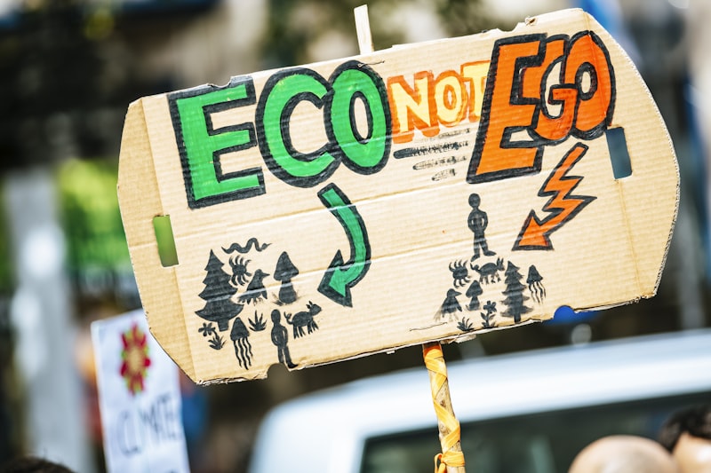 Economy vs ecology