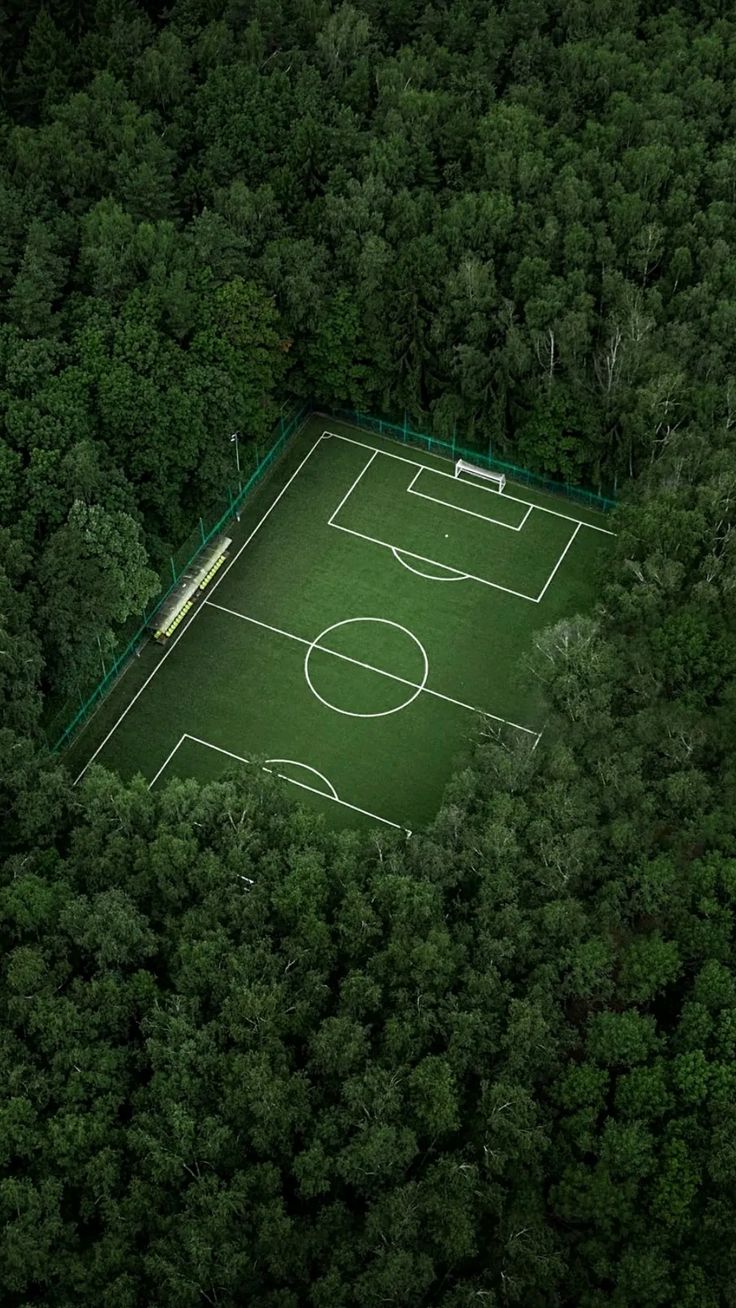Football pitch carved into the forest